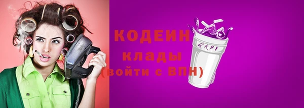 крисы Армянск