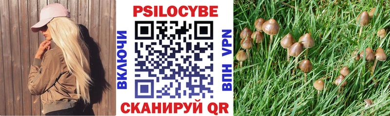 Галлюциногенные грибы Psilocybine cubensis  Гурьевск 